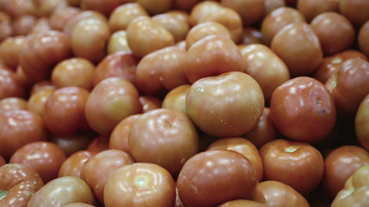 식료품점에 진열된 신선한 토마토 클로즈업