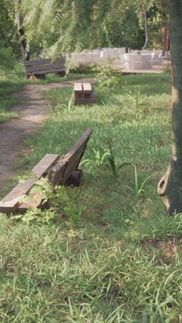 vreedzame parkscene met houten banken