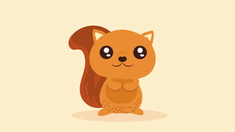 cute squirrel animal character animation