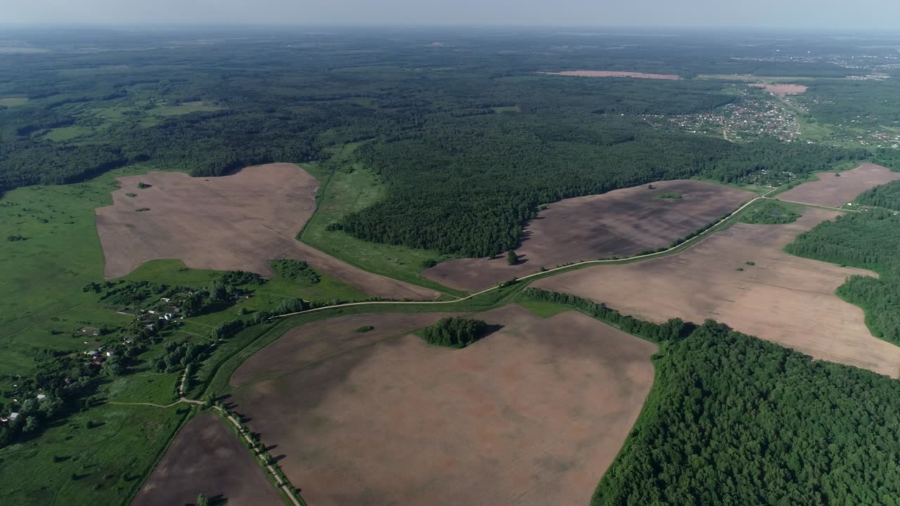 lago del bosque en la niebla de la mañana, en los rayos del sol del amanecer