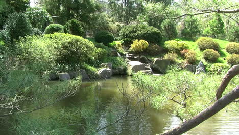 camera jibs from left to right in japanese garden with pond, stone lantern and waterfall