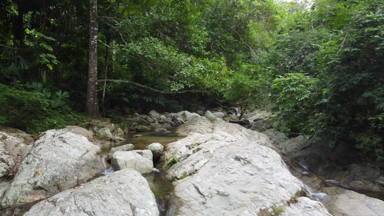 el pequeño río en una selva tropical cerca de minca en la sierra nevada de santa marta en las montañas andinas, colombia