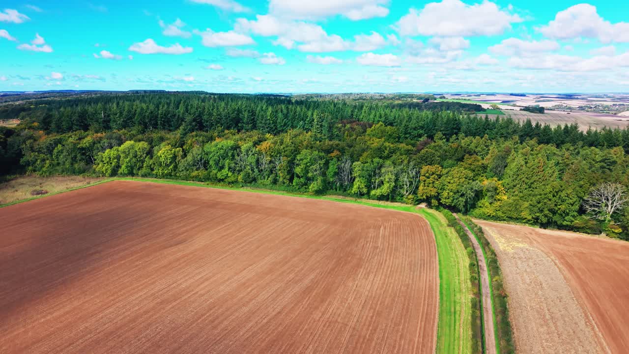 Drohnen-Luftaufnahme von kultivierten Feldern neben dichtem Waldgebiet im ländlichen Wiltshire, England. Ein Feldweg verläuft zwischen Ackerland und Wald unter einem hellblauen Himmel mit vereinzelten Wolken.