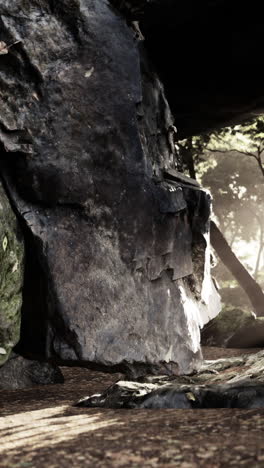 misteriosa formación rocosa en un bosque oscuro