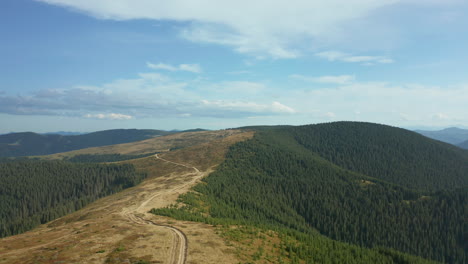 Atemberaubende-Bergstraßenlandschaft-Mit-Grünen-Mammutbäumen,-Die-Gegen-Den-Himmel-Wachsen