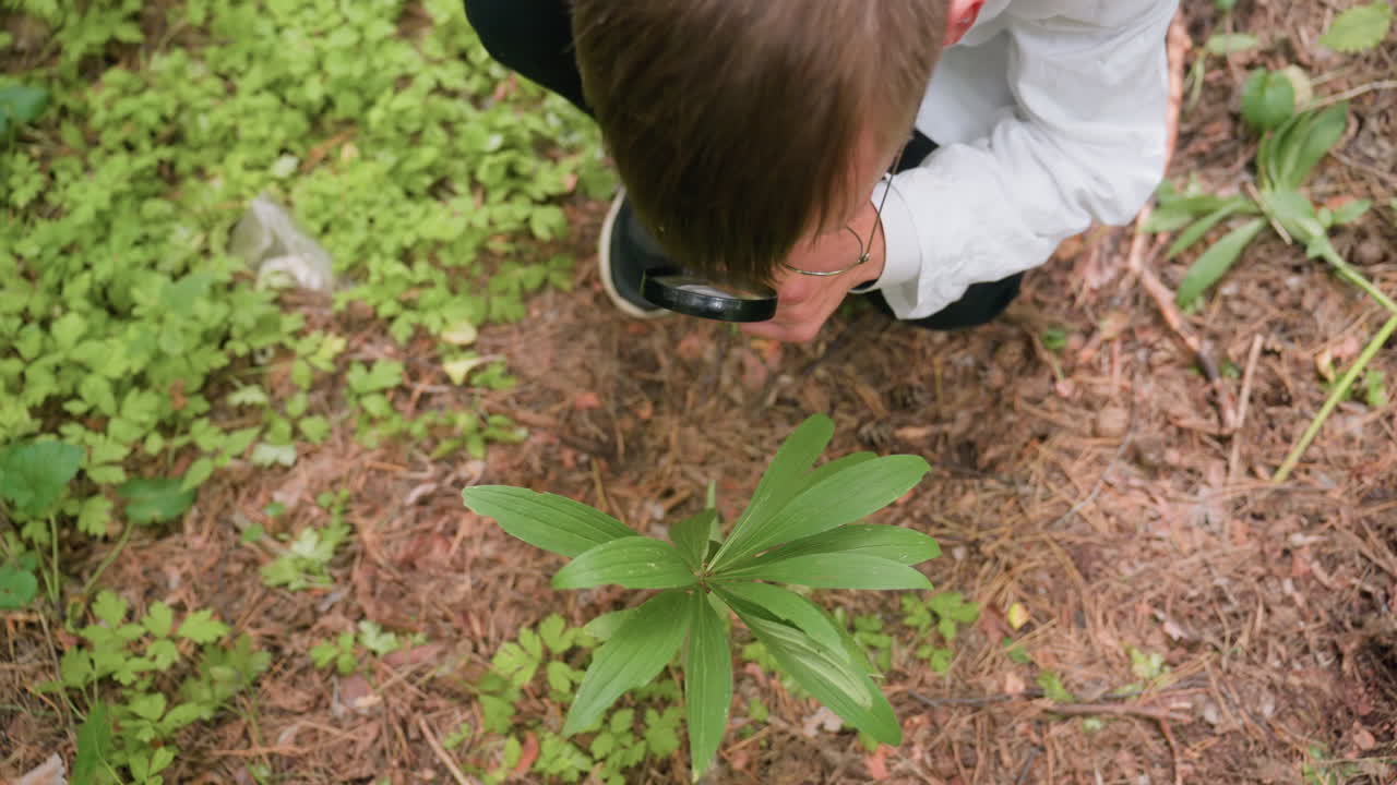 Human leg on forest path near green plant with long leaves surrounded by soil, pine needles, and small foliage, showing connection between nature and human presence in woodland environment