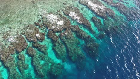 Video-Aéreo-Ascendente-Rápido-Cinematográfico-Del-Arrecife-De-Coral-De-La-Isla-De-Utila-En-Honduras