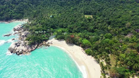 Tropischer-Sandstrand-Und-Kleiner-Dschungelfluss-Im-Wald