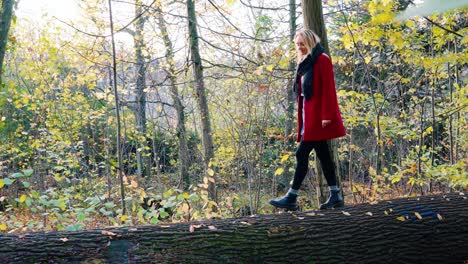 Junge-Schöne-Frau,-Die-über-Einen-Fallenden-Baum-Geht