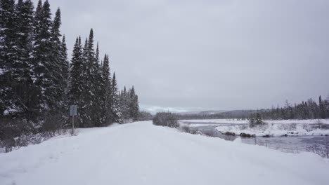 beautiful winter landscape scene on opeongo road in beautiful algonquin provincial park