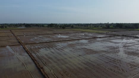 Aérea:-Drone-Sobre-Campos-Inundados-Después-De-Otra-Noche-De-Lluvias-Torrenciales-En-Camboya