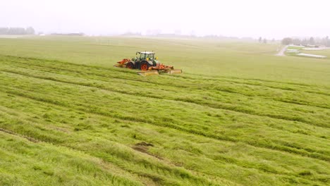 tractor mowing green grass field in misty weather, harvesting hay silage cattle food, aerial