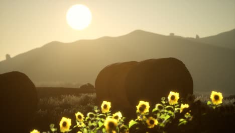 fardos de heno en la puesta de sol