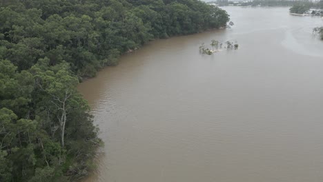 vegetación verde y exuberante en tallebudgera creek en el sureste de queensland, australia - toma aérea de drones