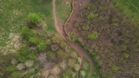 Escultura-En-Vivo-De-La-Catedral-De-Sauce-De-4k-Hecha-De-Sauces-En-Taunton-Somerset,-Dron-De-60-Fps-Que-Avanza-Sobre-La-Catedral-Del-árbol