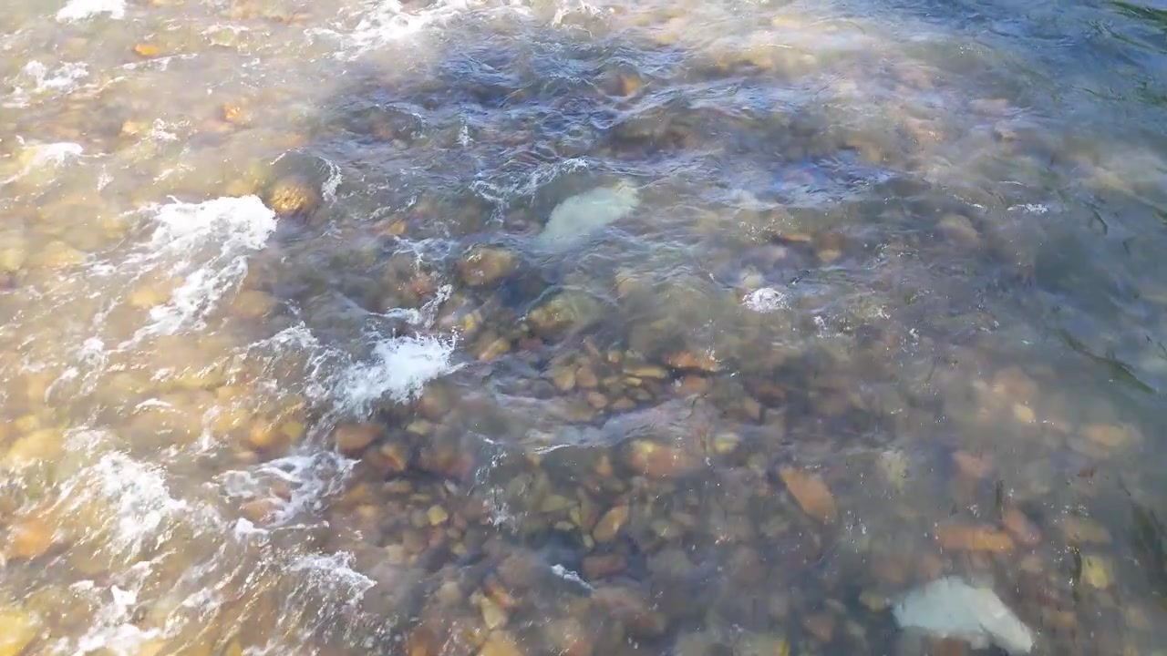 Static high angle shot of fresh river water rushing over submerged rocks and pebbles.