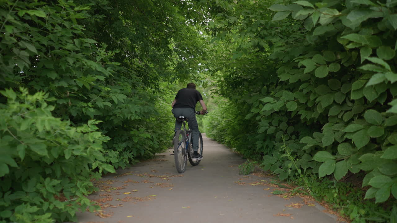 색 도로 표시로 포장된 길을 따라 자전거를 타고 있는 누군가의 뒷면, 길은 울창한 초록색으로 둘러싸여 있으며, 땅에 어져 있는 건조한 잎과 함께 터널 효과를 만니다.