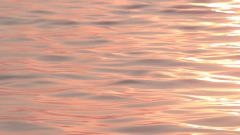 orange reflecting sunlight on the sea