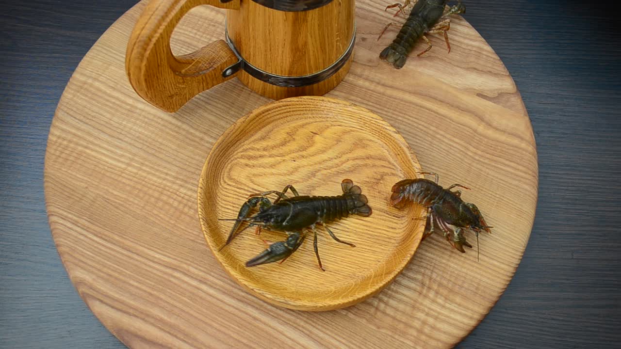 Live crayfish on a plate. Shooting of live crayfish