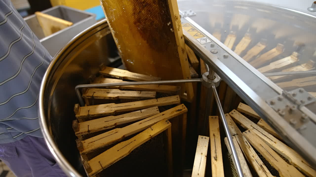 Metal tank with centrifuge inside for extracting honey from honeycombs. Man puts frames side by side into the bin. Close up.