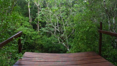 un puente de madera en la selva