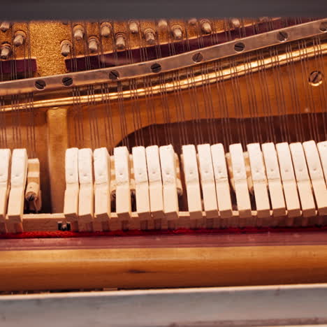 piano play. the mechanism of the piano works. how does the piano.