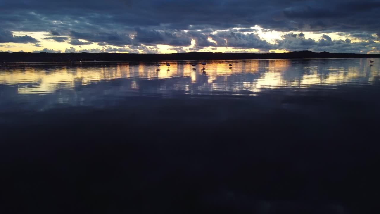 sant'antioco estableciendo una vista aérea de la laguna al atardecer, vida silvestre de flamencos