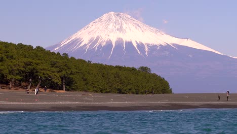 famous and iconic view of snow capped mt fuji with forest and ocean on clear day