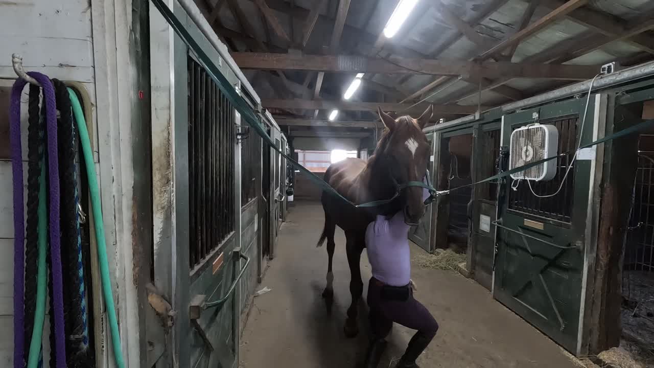 A rider tacks a horse in a stable and preps it before a ride. Filmed in slow motion