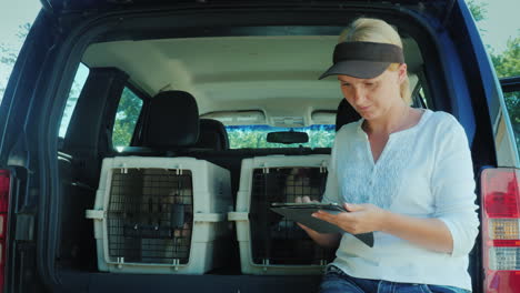 A-Woman-Uses-A-Tablet-Stands-At-The-Trunk-Of-A-Car-Where-There-Are-Cells-With-Puppies-Sale-And-Deliv