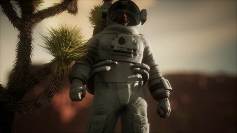 Astronaut-In-Der-Hochwüste-Von-Nevada