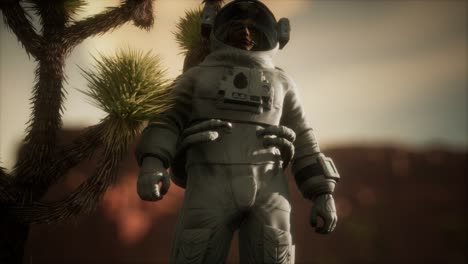 astronauta en el alto desierto de nevada