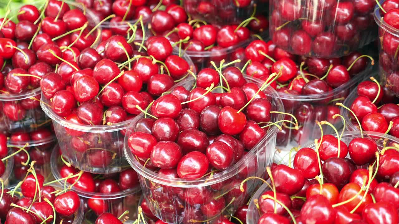 플라스틱 용기에 담긴 신선한 은 체리