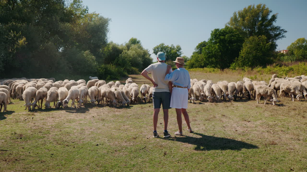 Couple with a flock of sheep in a field
