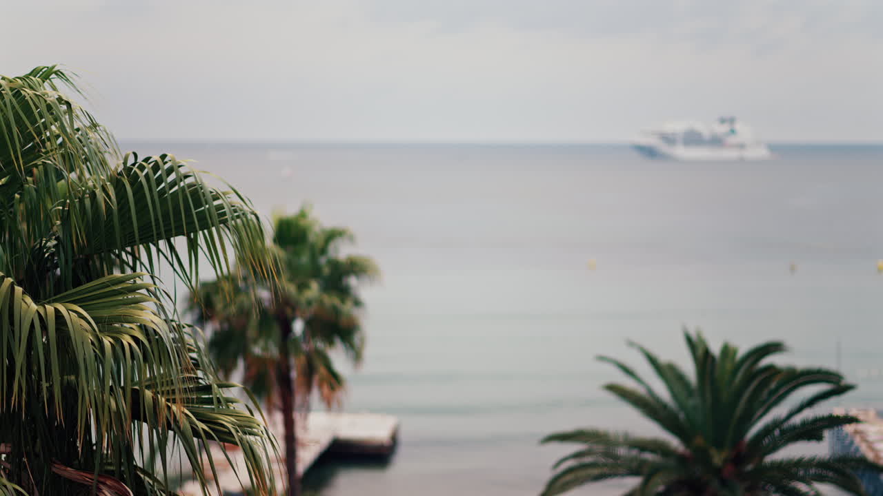 Palm trees with a distant blurred view of a white cruise ship moving on the sea on a cloudy day