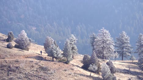 mujer corriendo por un sendero accidentado en las montañas rocosas