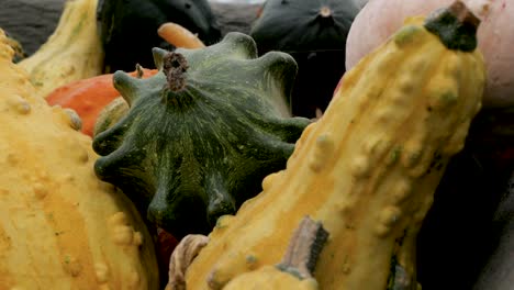 exhibición de otoño en cámara lenta de calabaza y calabaza