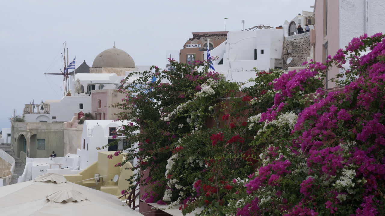 día del molino de santorini