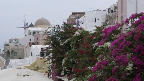día del molino de santorini