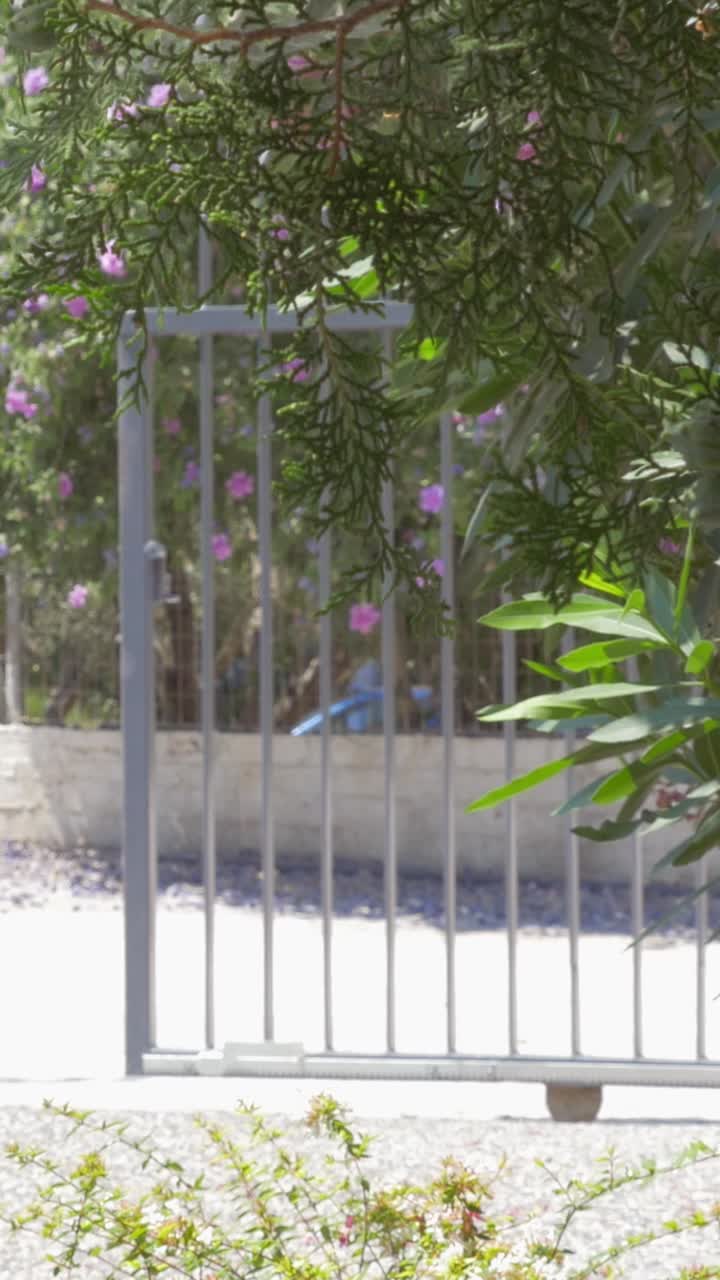 Outdoor garden scene with gate and flowers