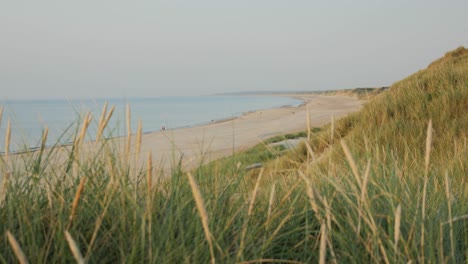 Malerischer-Blick-über-Den-Strand-Der-Fokus-Verlagerte-Sich-Von-Gras-Auf-Den-Strand-Im-Hintergrund