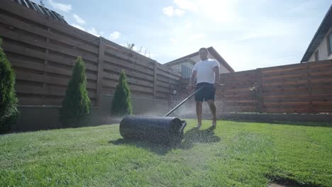 roll of new natural grass turf installed by professional gardener. landscaping industry.