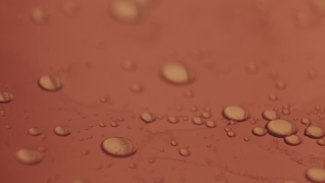 小さな気泡が右から素早くフレームに入る