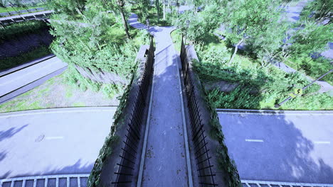 exploring a serene overpass surrounded by lush greenery and pathways