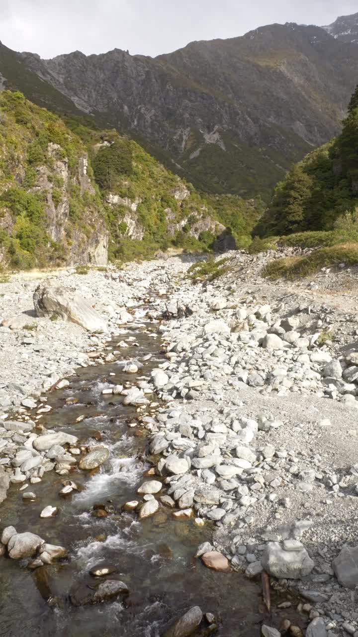 Mountain Stream In Red Tarns Track, Aoraki, South Island, New Zealand - Vertical Shot
