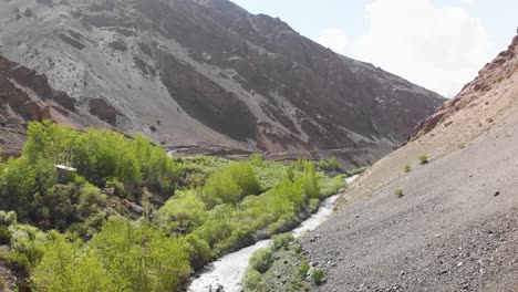 small portion of greenery near ice water river in the mountain of ladakh, india