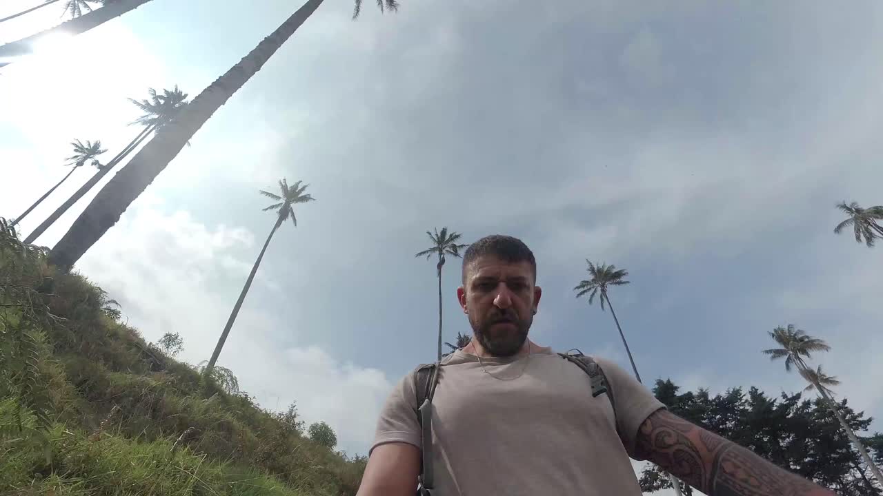 paseo en primera persona por el valle del cocora