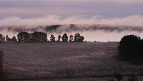 misty sunrise over a frozen field