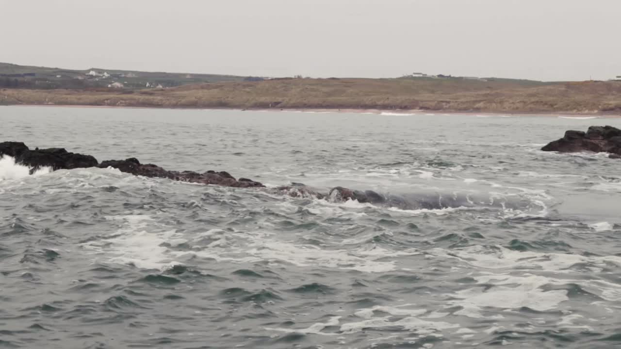 Mare d'Irlanda in spiaggia sulla costa dell'Irlanda del Nord, Contea di Antrim-14