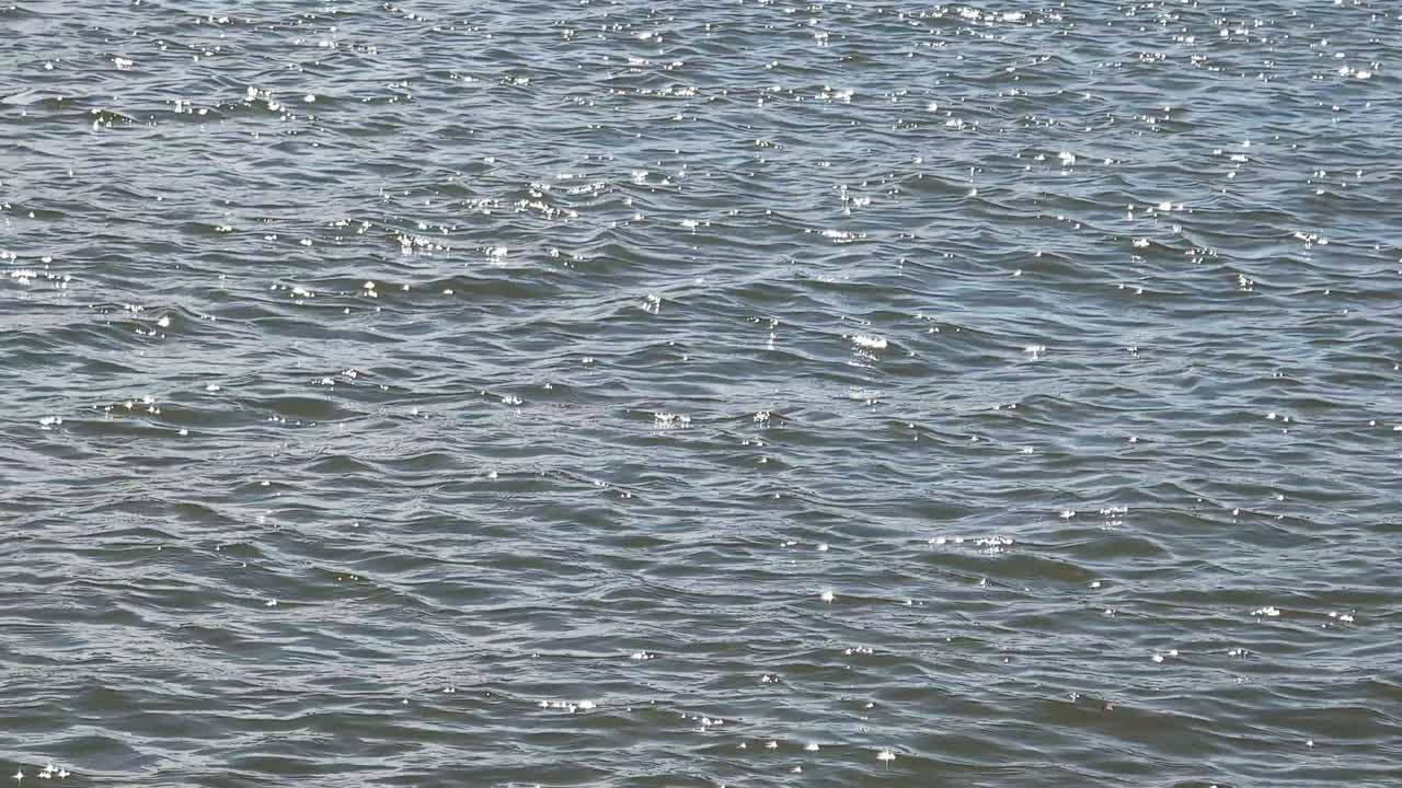 잔잔한 물결이 이는 수면 위로 미묘한 빛의 반사가 춤추고, 자연스러운 파란색-회색조의 물결 패턴이 보여요.